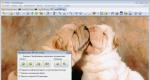 XnView - бесплатный просмотрщик графики с возможностью редактирования и цветокоррекции Ключевые особенности программы XnView